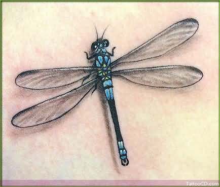 15 Stunning Dragonfly Tattoos - Tattoo Me Now