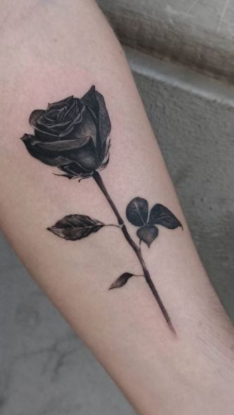 The Black Rose Tattoo  The Black Rose Tattoo Parlour