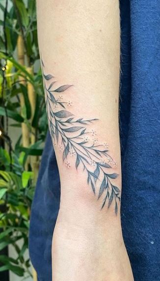 Delicate Pothos Vine Tattoo by soil  Tattoogridnet