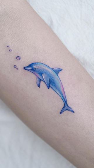 Tattoo Art Of World on Twitter Cute Dolphin Tattoo Ideas tattoo ink  dolphintattoo tattooart art beautiful dolphin httpstcoratIjTiSsB   Twitter