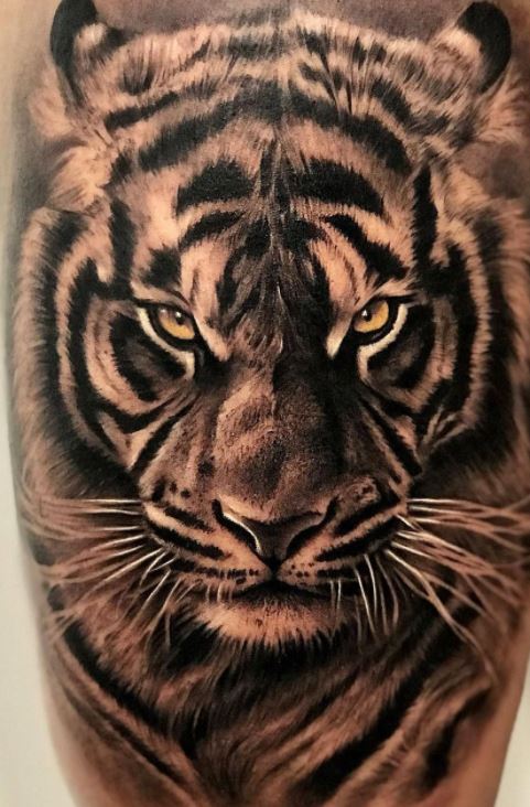 Hand Drawn Tiger Headtiger Face Tattoo Designtiger Tattoo HighRes Vector  Graphic  Getty Images