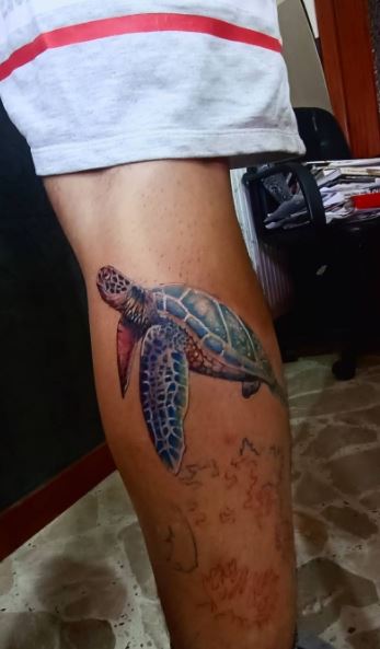 35 Turtle Tattoo Designs that portray beauty and tranquility