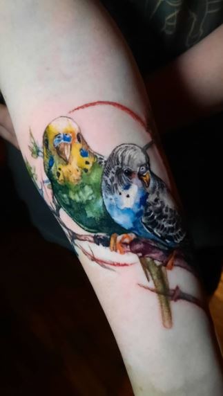 Budgie tattoos | | Tattoos, Dope tattoos, Tattoo designs