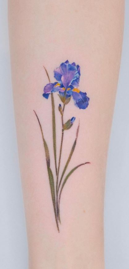 Watercolor iris tattoo on the inner forearm